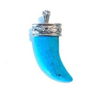 Turquoise Gem Stone Horn